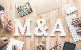 Triển vọng thị trường M&A trong năm 2021
