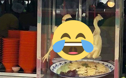Đi mua gà luộc, anh chàng mém xỉu khi nhìn vào tư thế con gà đang treo trong tủ kính, dân mạng phán 1 câu chắc nịch