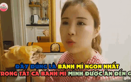 Báo Pháp: Bánh mì Việt Nam vừa rẻ vừa ngon - "Kỳ phùng địch thủ" của burger Mỹ?