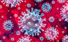 Nhà virus học Mỹ phát hiện biến thể COVID-19 mới né giỏi hơn, chết chóc hơn: 'Ác quỷ đã xuất hiện'