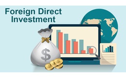Lý do khiến vốn FDI vẫn tăng bất chấp COVID-19