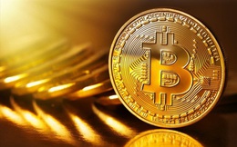 Giá Bitcoin hôm nay 12/6: Thị trường chìm trong sắc đỏ