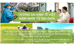 Tương lai kinh tế Việt Nam nhìn từ đại dịch