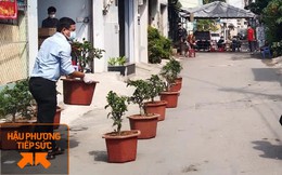 Thi chăm cây táo Mỹ, 12 hộ dân ở TP.HCM trong khu cách ly được tạo điều kiện để tâm lí không bí bách