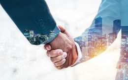 Các hình thức góp vốn của nhà đầu tư nước ngoài vào công ty TNHH tại Việt Nam