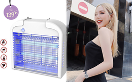 Xoài Non khoe đèn diệt muỗi giá phải chăng nhưng chất lượng không đùa, ai cần nên hóng ngay