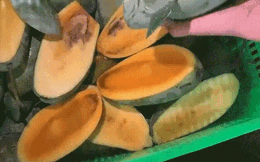 Mua cả chục kg xoài mà quả nào cũng thối hết dù bên ngoài rất "đẹp mã", dân mạng thi nhau tranh cãi về lý do thật sự phía sau