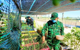 Kiên Giang: Những nỗ lực thầm lặng của cán bộ hậu cần trên chốt liên ngành tuyến biên giới Hà Tiên