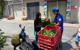 Những mô hình giúp dân đầy nghĩa tình của Đội Thanh niên Linh Xuân – TP. Thủ Đức