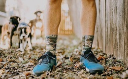 Thanh niên 20 tuổi kiếm được hơn 1 triệu USD nhờ bán những đôi tất in mặt chó cưng của khách hàng