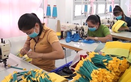 Chính phủ ban hành Nghị định hỗ trợ Doanh nghiệp vừa và nhỏ