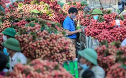 Nâng cao vai trò của tiếp thị nông sản Việt trên thị trường quốc tế