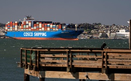Hiện thực tàn khốc của ‘địa ngục’ chuỗi cung ứng: Giám đốc logistic van nài 'chỉ cần lấy cho tôi 1 container thôi', chi phí vận chuyển gấp hàng chục lần vẫn cam chịu