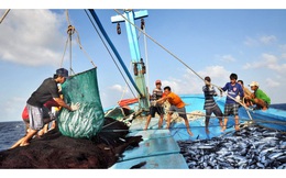 Khắc phục thẻ vàng IUU- Bài toán khó cũng phải làm