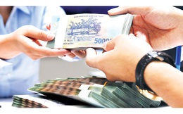 Một số lưu ý cho người tiêu dùng khi có nhu cầu vay tiền