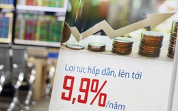 Đầu tư trái phiếu vẫn có thể mất tiền nếu không để ý điều này
