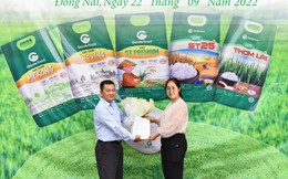 Gạo Gente Food chinh phục thị trường miền Trung, Đông Nam Bộ và TP. Hồ Chí Minh