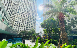 Một bước chân ngàn tiện ích - Đặc quyền của cư dân nhà Sunshine