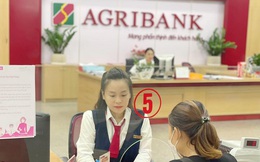Agribank phát hành 10.000 tỷ đồng trái phiếu ra công chúng năm 2022