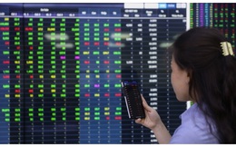 5% dân số Việt Nam đầu tư chứng khoán