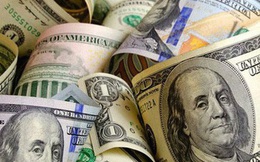 Tỷ giá USD ngày 19/5: Tỷ giá trung tâm tăng 2 đồng