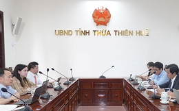 Thừa Thiên - Huế: Chủ tịch UBND tỉnh làm việc với Công ty Chemonics International