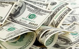 Tỷ giá USD ngày 20/5: Tỷ giá trung tâm tăng 3 đồng