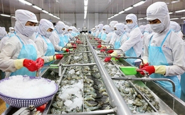 Tận dụng tốt các hiệp định thương mại, xuất khẩu của nước ta tăng trưởng mạnh mẽ