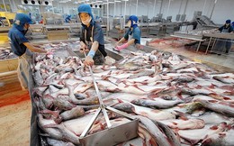 Xuất khẩu thủy sản lo giảm tốc nửa cuối năm