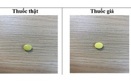 Cục quản lý Dược cảnh báo về thuốc kháng sinh Tetracyclin giả