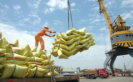Xuất khẩu gạo sẽ sôi động trong nửa cuối năm 2022