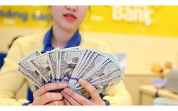 Tỷ giá USD hôm nay 3/8: Bất ngờ đảo chiều