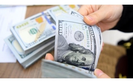 Tỷ giá USD hôm nay 4/8: USD trung tâm tăng 15 đồng