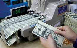 Tỷ giá USD hôm nay 5/8: Tỷ giá trung tâm tăng 4 đồng