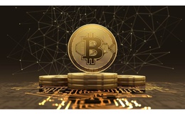 Giá Bitcoin hôm nay 6/8: Đảo chiều tăng mạnh
