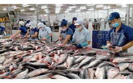 Chiến lược phát triển thủy sản Việt Nam trong năm 2023