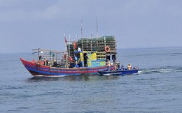 Nghệ An: Triển khai các giải pháp chống khai thác hải sản bất hợp pháp IUU