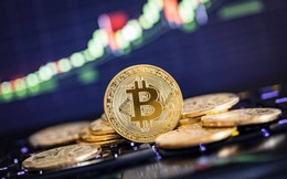 Giá Bitcoin hôm nay 29/11: Số Bitcoin có lời cao kỷ lục