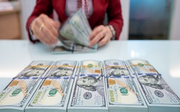 Tỷ giá USD hôm nay (29/11): Tỷ giá trung tâm tiếp tục giảm