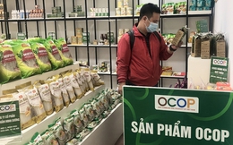 Hà Nội: Năm 2023 sẽ phát triển từ 5 đến 9 trung tâm quảng bá sản phẩm OCOP gắn với du lịch