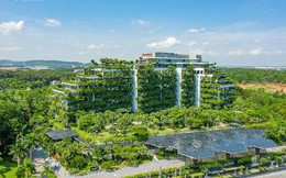 Forest in the Sky: Biến khối bê tông thành khu rừng thẳng đứng