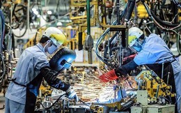 Bloomberg: Việt Nam là mảnh đất hấp dẫn các công ty khởi nghiệp