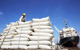 Xuất khẩu gạo năm 2023 có thể đạt 6,5 - 7 triệu tấn