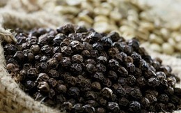 Thị trường nông sản ngày 24/2: Giá tiêu trong nước duy trì ổn định