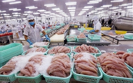 ASEAN là thị trường xuất khẩu thủy sản lớn thứ 4 của Việt Nam