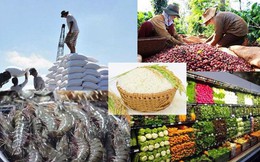 Hai tháng đầu năm, kim ngạch xuất khẩu nông lâm thủy sản đạt 6,28 tỷ USD