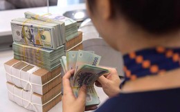 Ngân hàng Nhà nước hạ lãi suất điều hành
