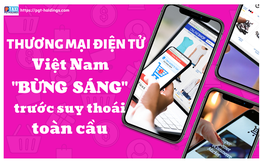 Thị trường thương mại điện tử Việt Nam: "Bừng Sáng" trước suy thoái toàn cầu
