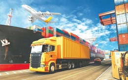 Việt Nam sẽ là Hub quan trọng thuộc mạng lưới WLP
