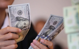 Tỷ giá USD ngày 20/3: Tỷ giá trung tâm giảm nhẹ 1 đồng